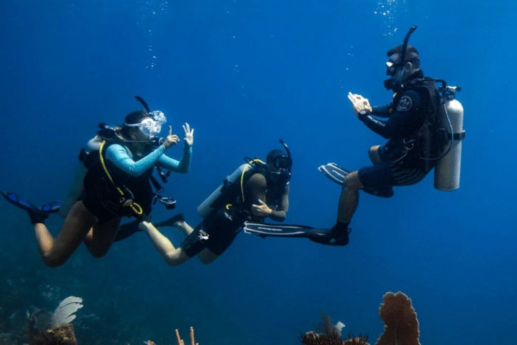 Dubai: PADI Open Water Course with eLearning - Photo 1 of 3